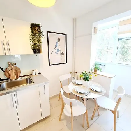 Harmony Plaza 2br * 布加勒斯特